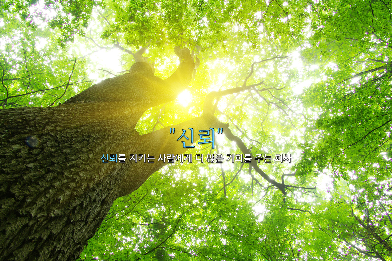 Collaboration 테스트 게시글